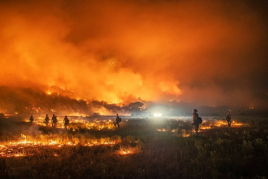 Maui Fire Update: Tragic Losses Increase to 80 Lives